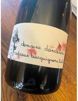 Dandelion - Coteaux Bourguignons 2020